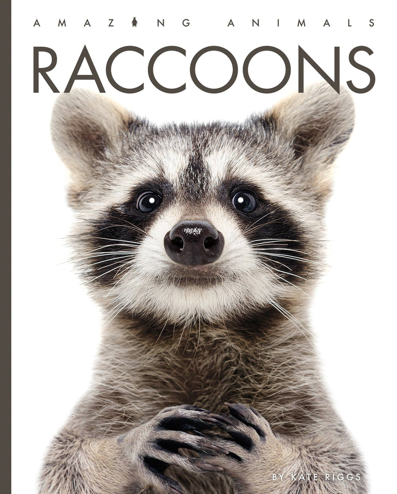Load image into Gallery viewer, Raccoons: Paperback