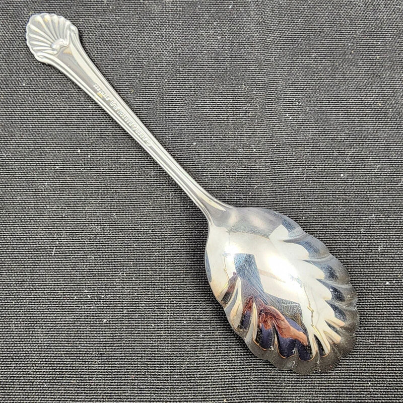 Load image into Gallery viewer, Seafare by Reed & Barton Stainless Sugar Sell Spoon 6 1/8 in