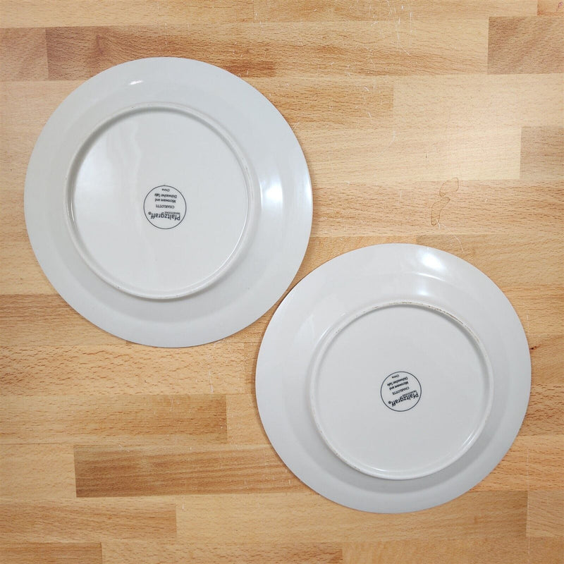 Load image into Gallery viewer, Pfaltzgraff Charlotte Set of 2 Salad Plate 7” 19 cm White Embossed Dinnerware