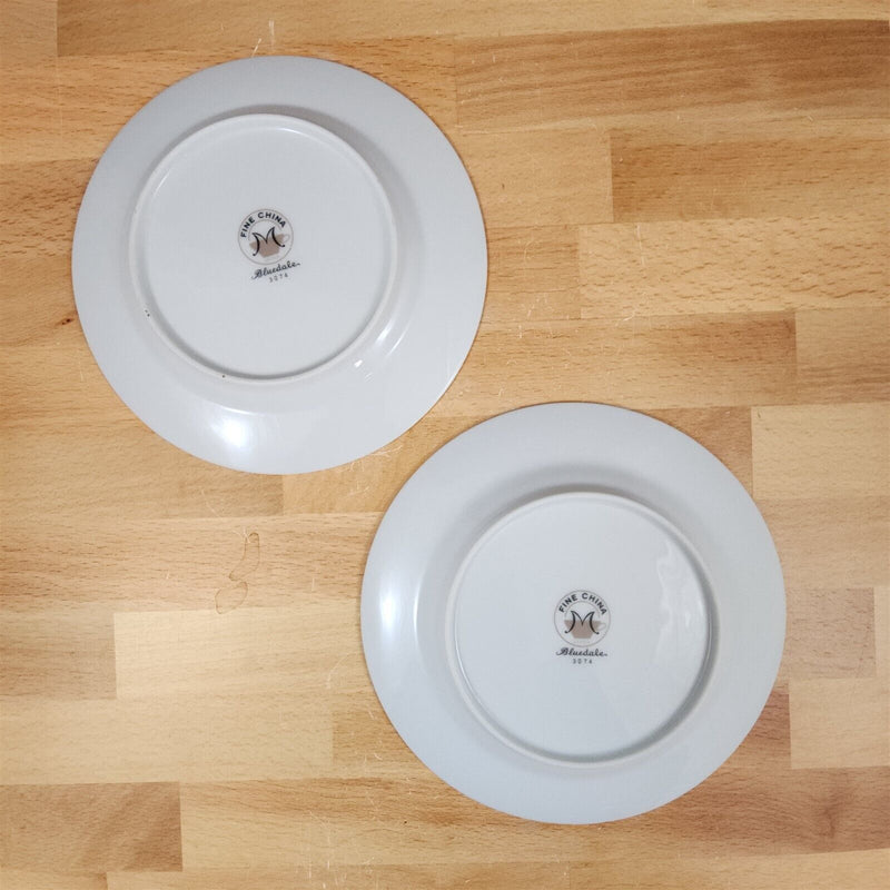 Load image into Gallery viewer, Bluedale 2 Bread & Butter Plate Set Blue White Flowers Ceramic Fine China Japan