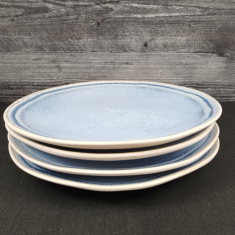 Load image into Gallery viewer, Pier 1 Imports Shoreline Blue Dinner Plate Set of 4 Stoneware Dishware Tableware
