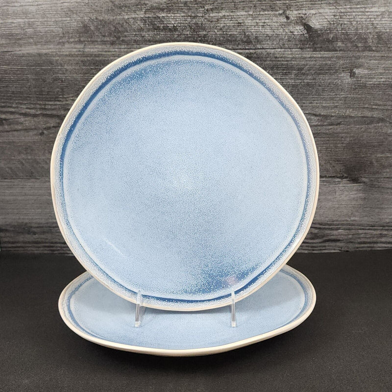 Load image into Gallery viewer, Pier 1 Imports Shoreline Blue Dinner Plate Set of 2 Stoneware Dishware Tableware