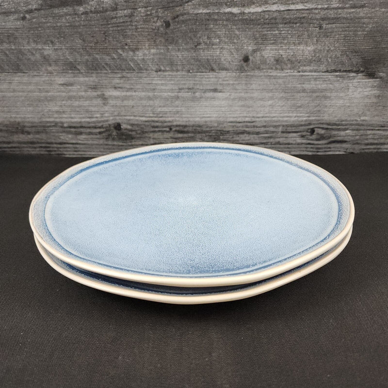 Load image into Gallery viewer, Pier 1 Imports Shoreline Blue Dinner Plate Set of 2 Stoneware Dishware Tableware
