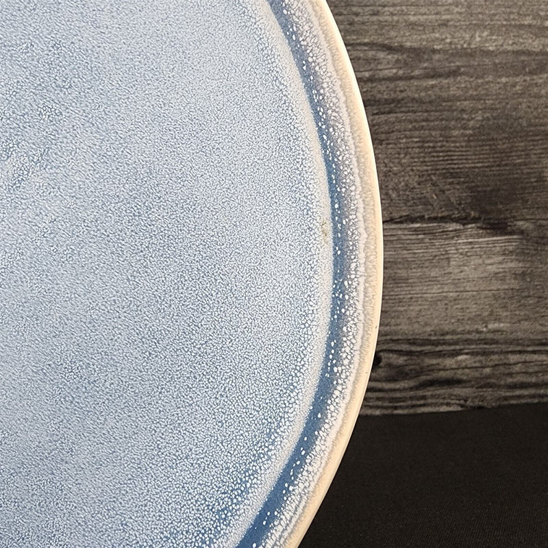 Load image into Gallery viewer, Pier 1 Imports Shoreline Blue Dinner Plate Set of 2 Stoneware Dishware Tableware