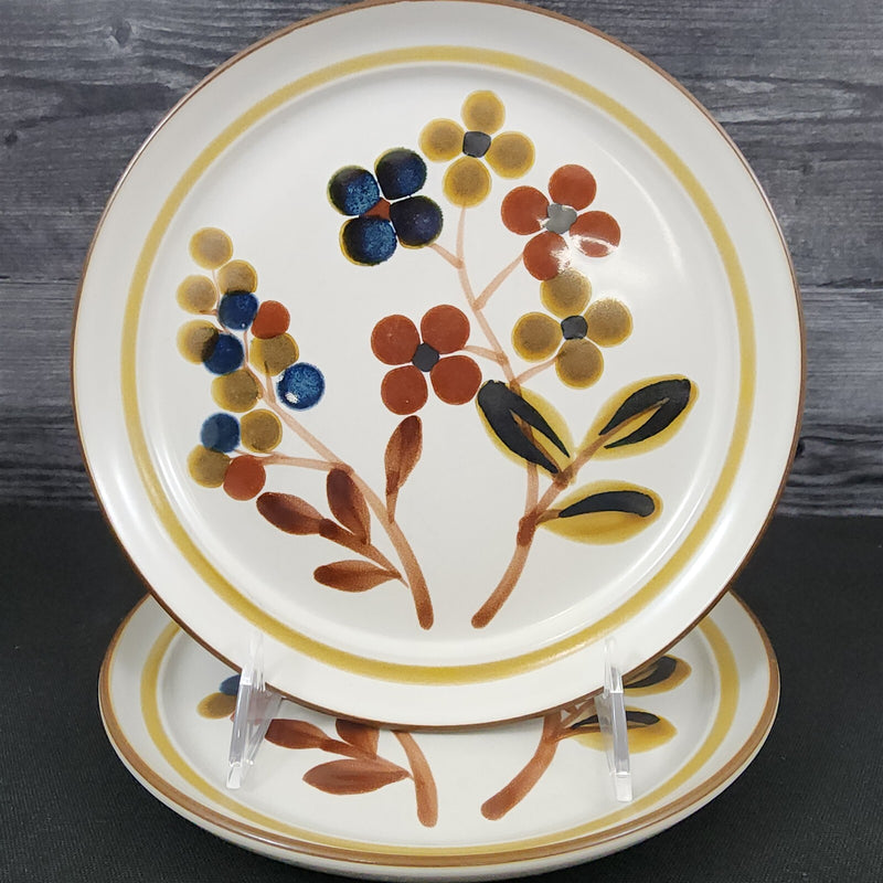 Load image into Gallery viewer, Noritake October Fest Set of 2 Salad Plate Stoneware Brown Blue Yellow Floral