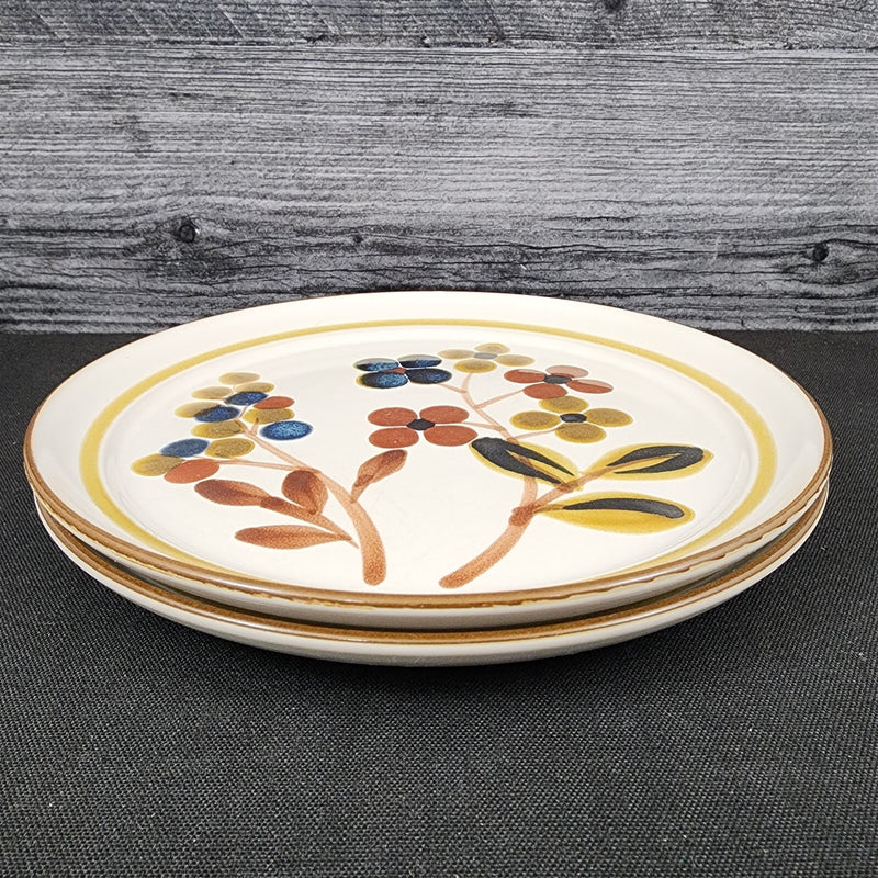 Load image into Gallery viewer, Noritake October Fest Set of 2 Salad Plate Stoneware Brown Blue Yellow Floral
