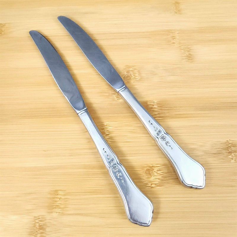 Load image into Gallery viewer, Ashmore Oneida Dinner Knife Hollow Handle Set of 2 Stainless Burnished Flatware