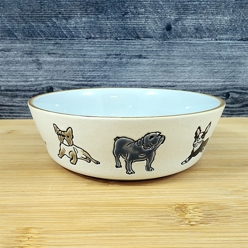 Load image into Gallery viewer, Charleston Dog Breed Water Food Bowl Embossed Treat Dish Gray Inside by Blue Sky