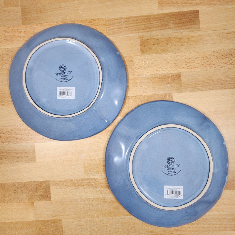 Load image into Gallery viewer, Tide of Tranquility Starfish Sea Turtle Plate Set Ceramic 8" Nautical Blue Sky