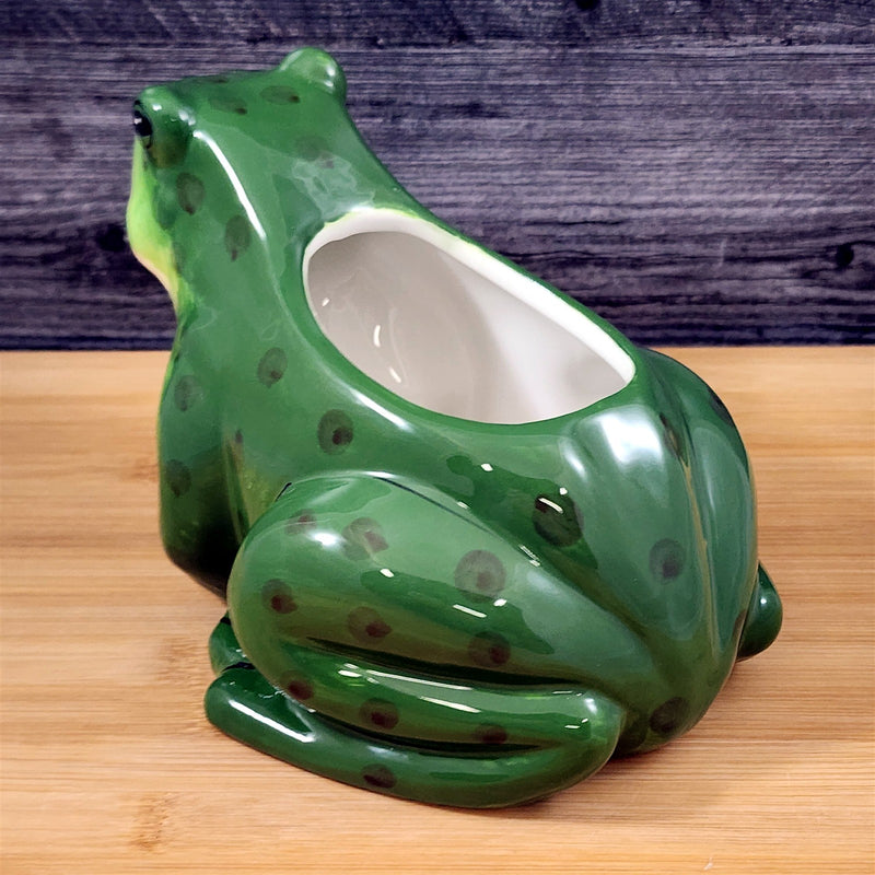 Load image into Gallery viewer, Frog Planter Succulent Plant Pot Holder Green Ceramic Blue Sky