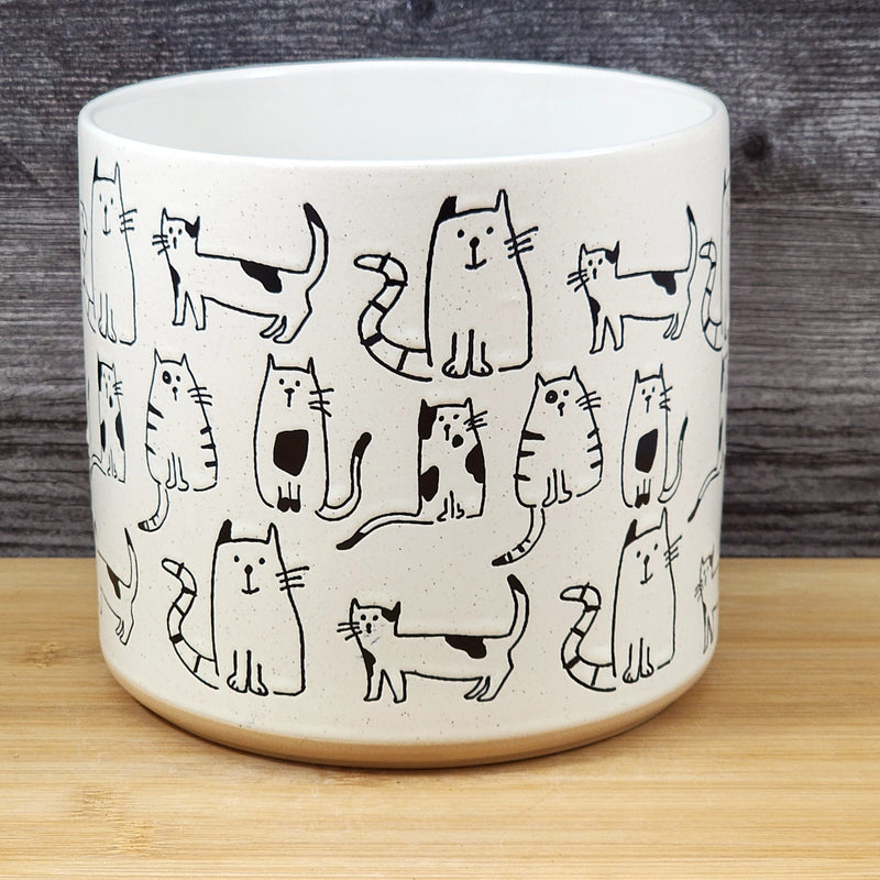 Load image into Gallery viewer, Cat Planter Kitty Herb Succulent Pot Ceramic Utensil Organizer Blue Sky 6.5in
