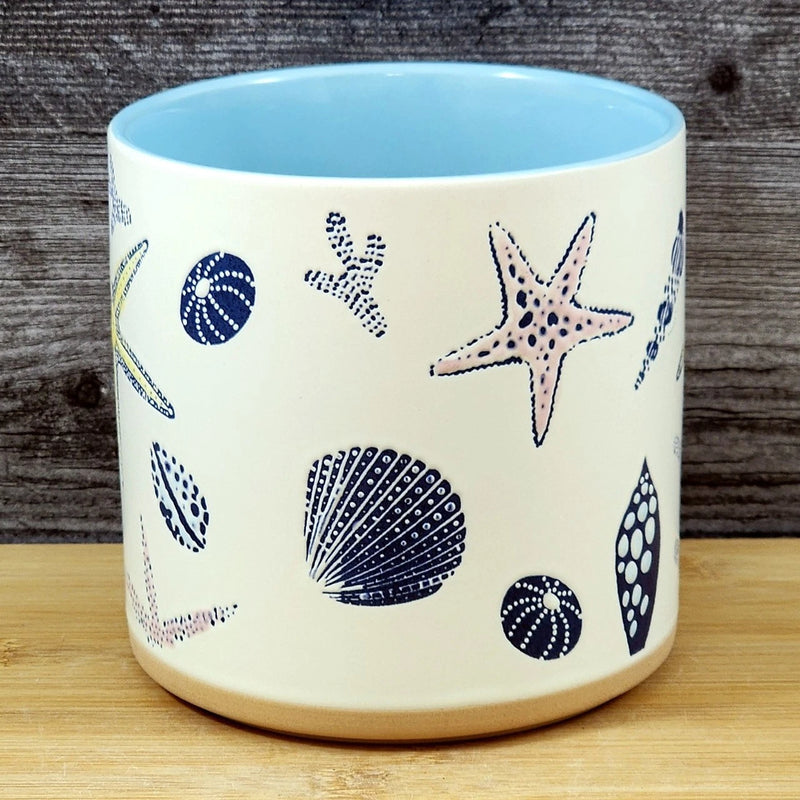 Load image into Gallery viewer, Star Fish Coral Shells Planter Ceramic Utensil Organizer Succulent Blue Sky 5in