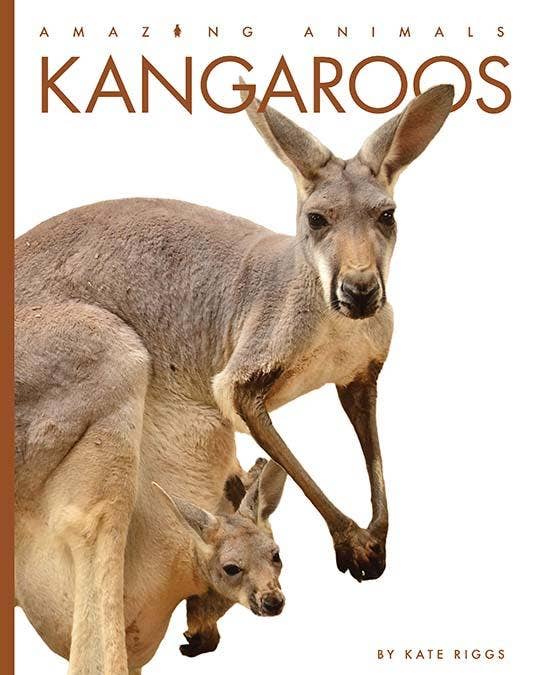 Load image into Gallery viewer, Kangaroo Hand Puppet Book Set Animal Educational Reading Imaginative Play Hansa