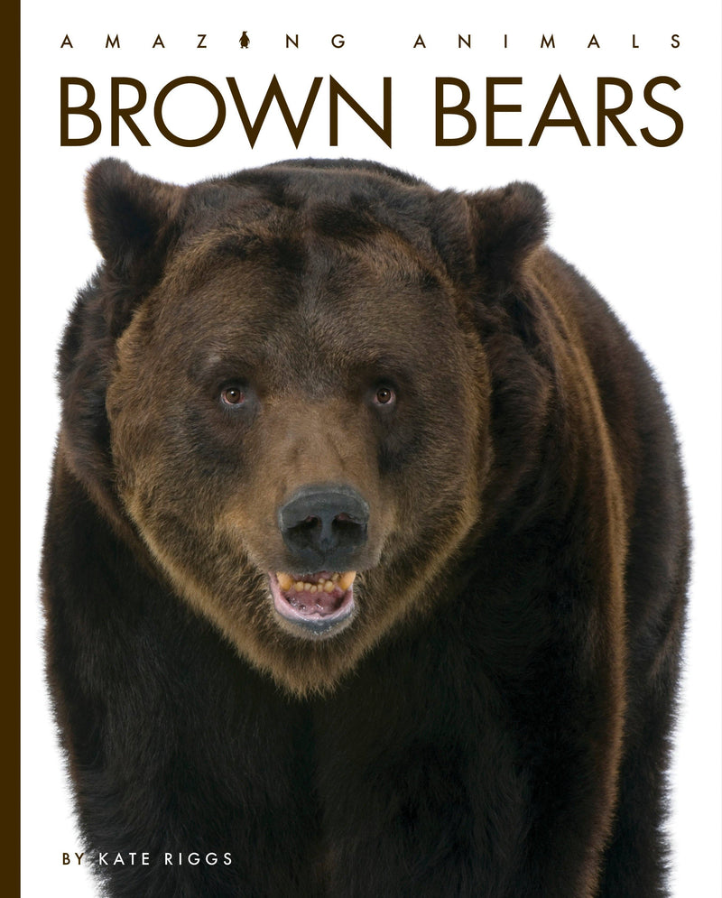 Load image into Gallery viewer, Amazing Animals - New Edition: Brown Bears: Paperback