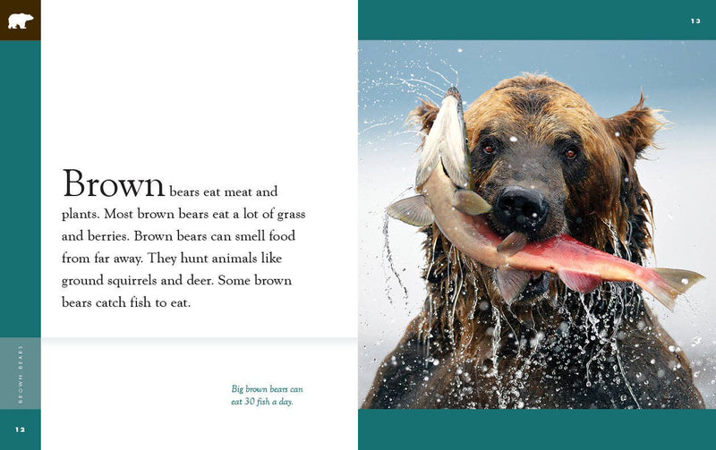 Load image into Gallery viewer, Amazing Animals - New Edition: Brown Bears: Paperback