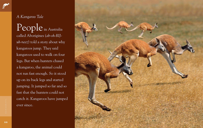 Load image into Gallery viewer, Kangaroo Hand Puppet Book Set Animal Educational Reading Imaginative Play Hansa