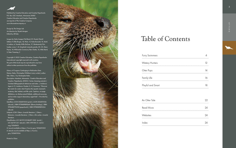 Load image into Gallery viewer, Otter Hand Puppet and Book Set Animal Educational Reading imaginative play Hansa