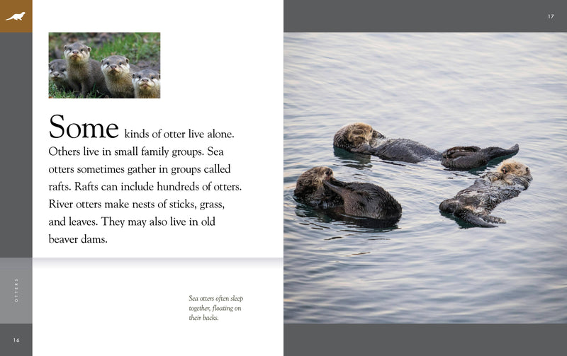 Load image into Gallery viewer, Otter Hand Puppet and Book Set Animal Educational Reading imaginative play Hansa