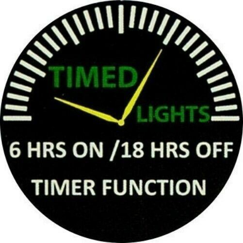 Load image into Gallery viewer, Wooden Bridge at Dawn LED Light Up Lighted Canvas Art Wall or Tabletop Picture