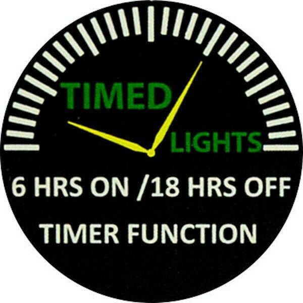 Load image into Gallery viewer, Bird Cage and Clock LED Light Up Lighted Canvas Wall or Tabletop Picture Art