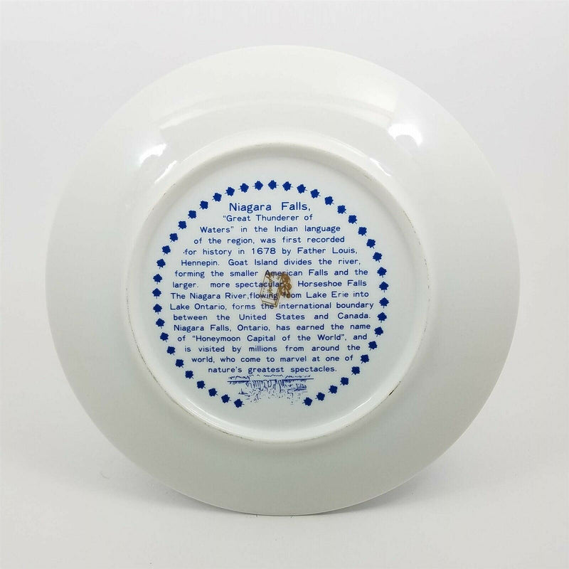 Load image into Gallery viewer, Beautiful Vintage 10” Souvenir of Niagara Falls Plate Earthenware flow blue