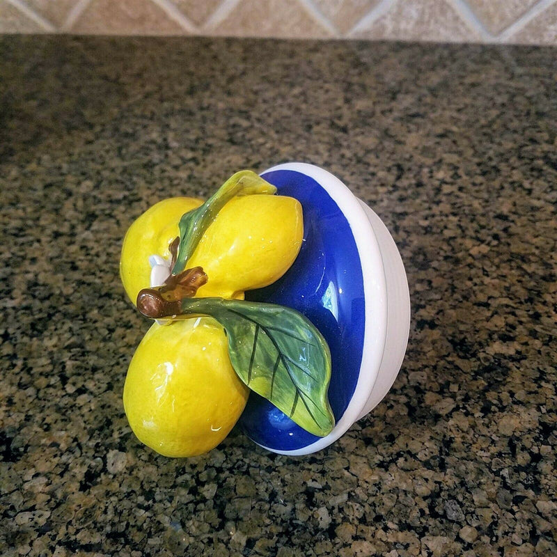 Load image into Gallery viewer, Lemon Cookie Jar Kitchen Biscotti Canister by Blue Sky Heather Goldminc
