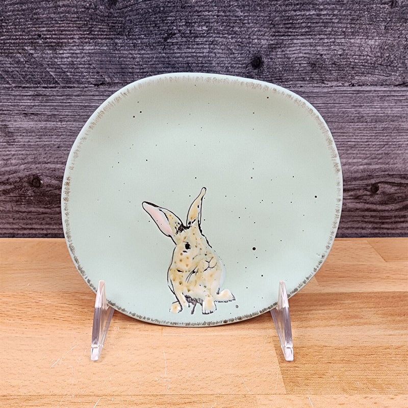 Load image into Gallery viewer, Easter Bunny Embossed Set of Plate 4 Aqua Color 5" (13cm) by Blue Sky Clayworks