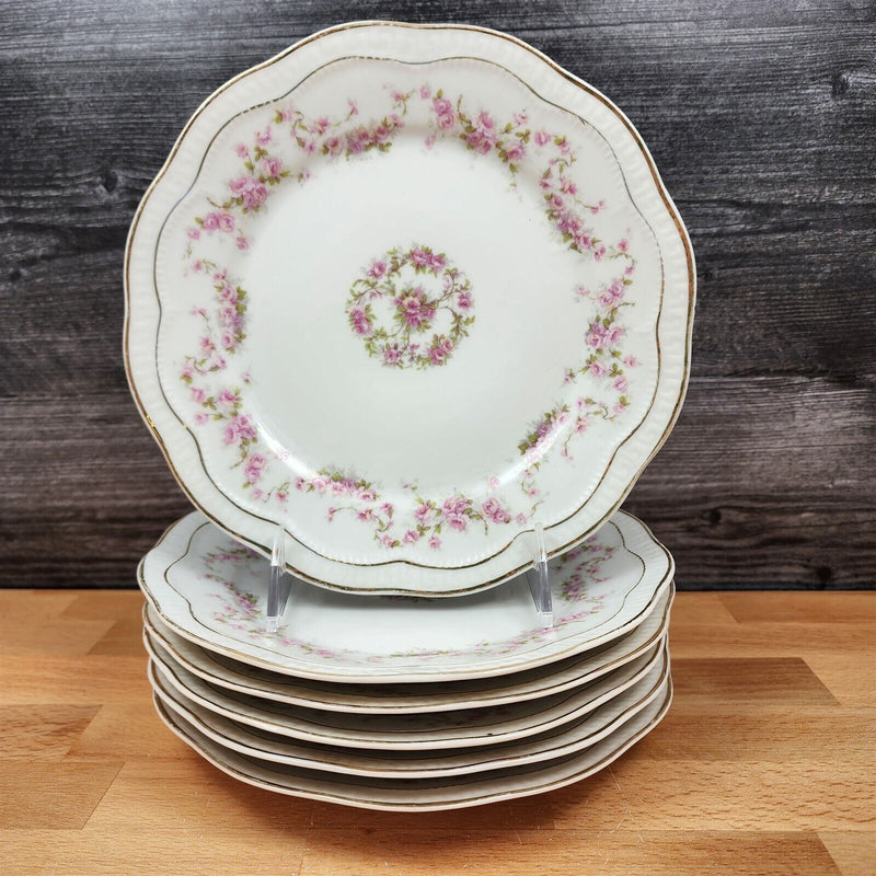Load image into Gallery viewer, ZSC41 Salad Plates Set of 6 Scalloped, Pink Roses White ZS & Co Scherzer