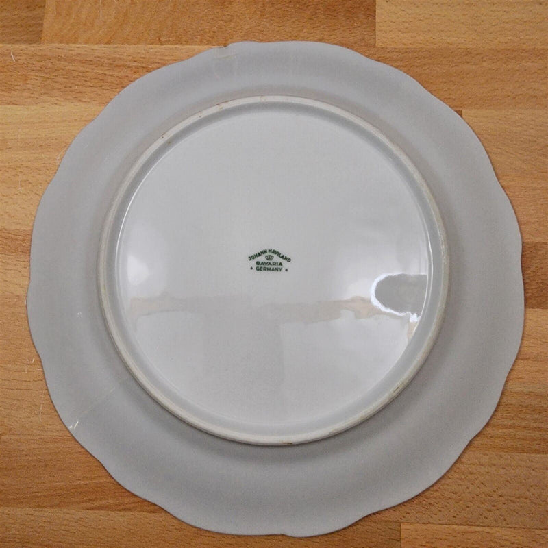 Load image into Gallery viewer, Moss Rose Set of 2 Piece Setting Johann Haviland Bavarian Stamp Bowl Plate