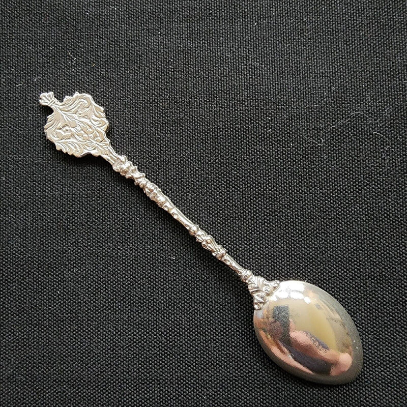 Load image into Gallery viewer, ITALY Collector Souvenir Spoon 5" Silver Plated