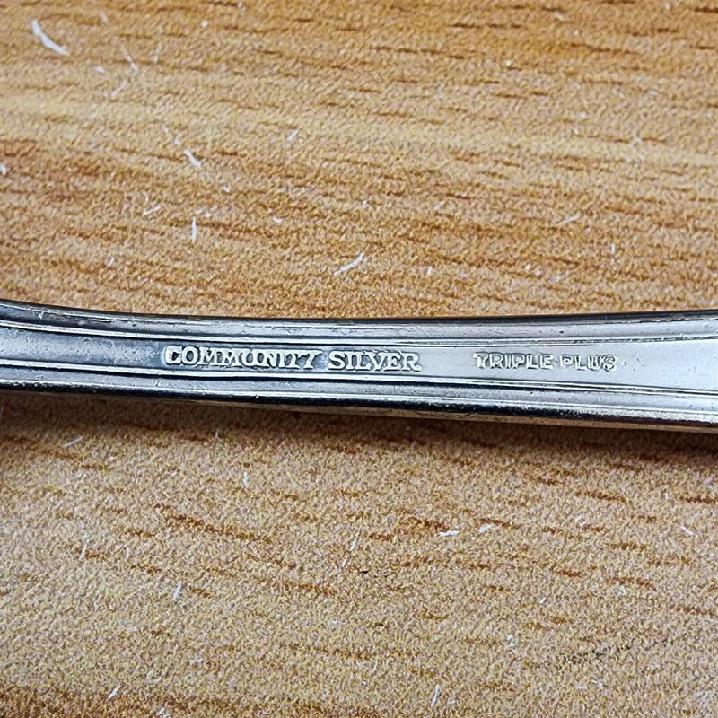 Load image into Gallery viewer, Sugar Spoon Avalon Silverplate 1901 by Oneida Flatware 6" (15cm)