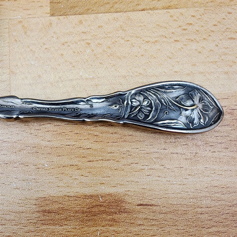 Load image into Gallery viewer, Narcissus by Oneida Silver 1908 Flat Twisted Handle Master Butter Knife flatware