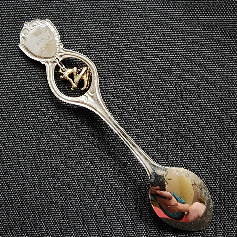 Load image into Gallery viewer, Idaho State Collectible Travel Souvenir Spoon Winter Down Hill Skier Dangler
