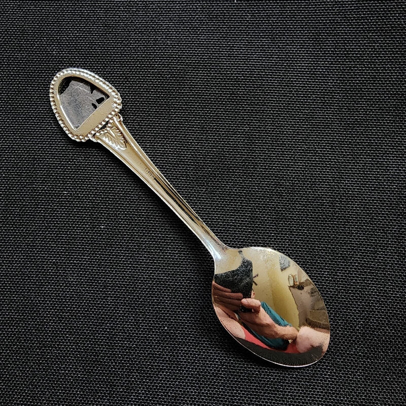 Load image into Gallery viewer, Wisconsin Badger State Collector Souvenir Spoon 4.5" (11cm)