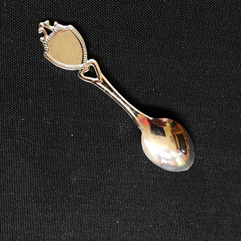 Load image into Gallery viewer, South Dakota State Collectible Travel Souvenir Spoon 3.5 in (9cm) with Pheasant