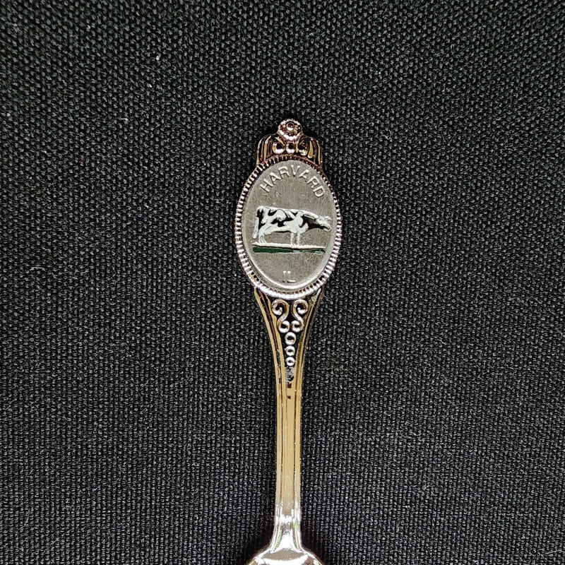 Load image into Gallery viewer, Harvard City Illinois Chicagoland Collectible Travel Souvenir Spoon 4" 10cm VTG