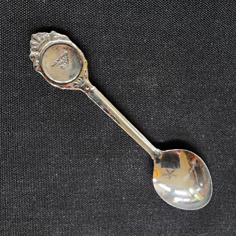 Load image into Gallery viewer, Niagara Falls Canada Collectible Souvenir Spoon 4.5" (11cm)