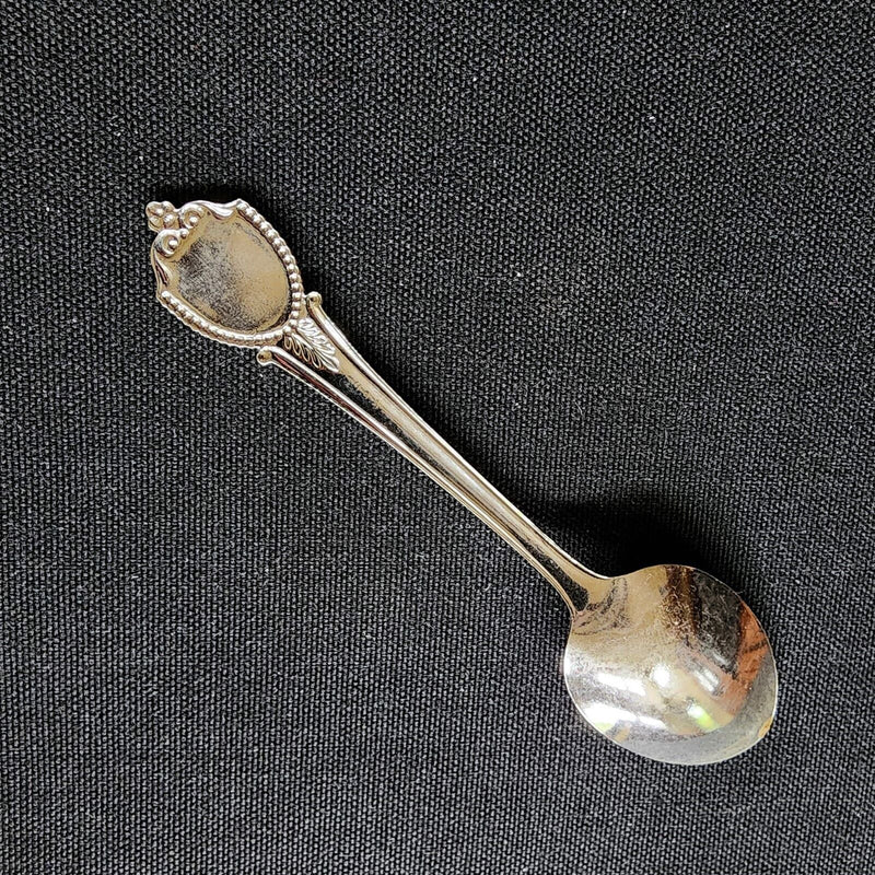 Load image into Gallery viewer, Kalona Iowa Collectible Souvenir Spoon 4.5" (11cm) Amish Buggy