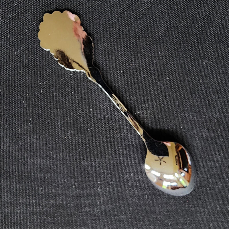 Load image into Gallery viewer, Columbia Icefields Jasper Alberta Canada Collectible Souvenir Spoon 4.5" (11cm)