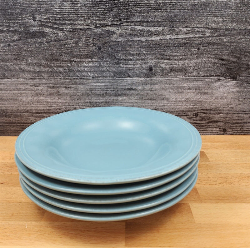 Load image into Gallery viewer, Cucina Agave Blue by Rachael Ray Set of 5 Individual Pasta Bowl 9" 23cm