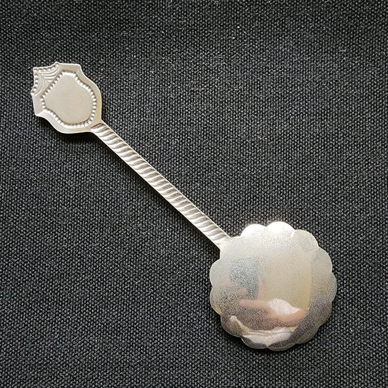 Load image into Gallery viewer, Houston Texas Collectible Souvenir Spoon 4.25" (11cm)