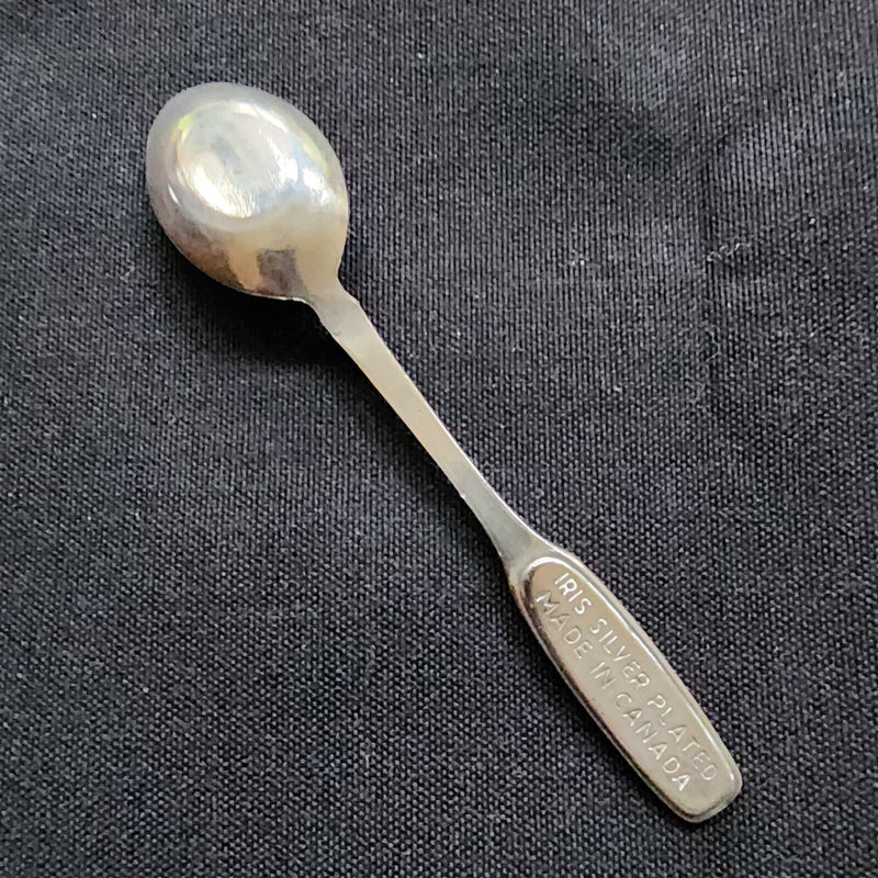 Load image into Gallery viewer, Winnipeg Canada Collectible Travel Souvenir Spoon Prairie Province Silver Plated