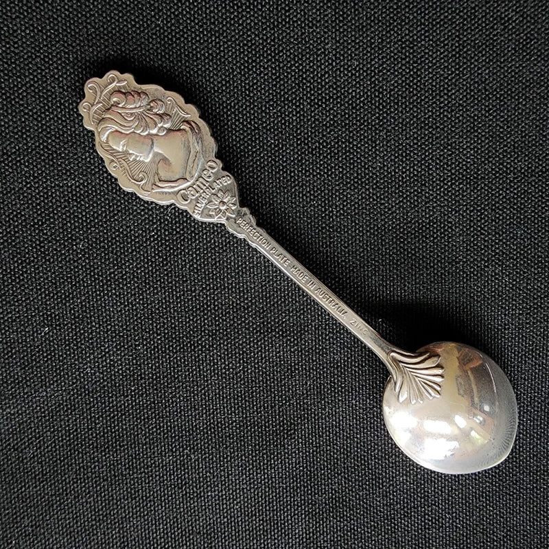 Load image into Gallery viewer, Vancouver British Columbia Collectible Travel Souvenir Spoon Silver Plated