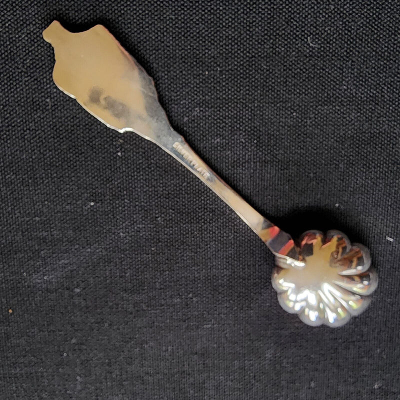 Load image into Gallery viewer, Venezuela Collectible Travel Souvenir Spoon 4.5" Latin Caribbean South American