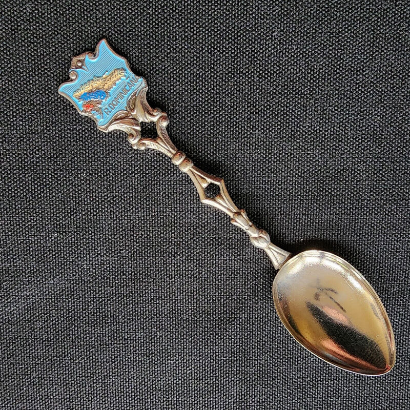 Load image into Gallery viewer, Dominicana Collector Souvenir Spoon 4.5 Inch