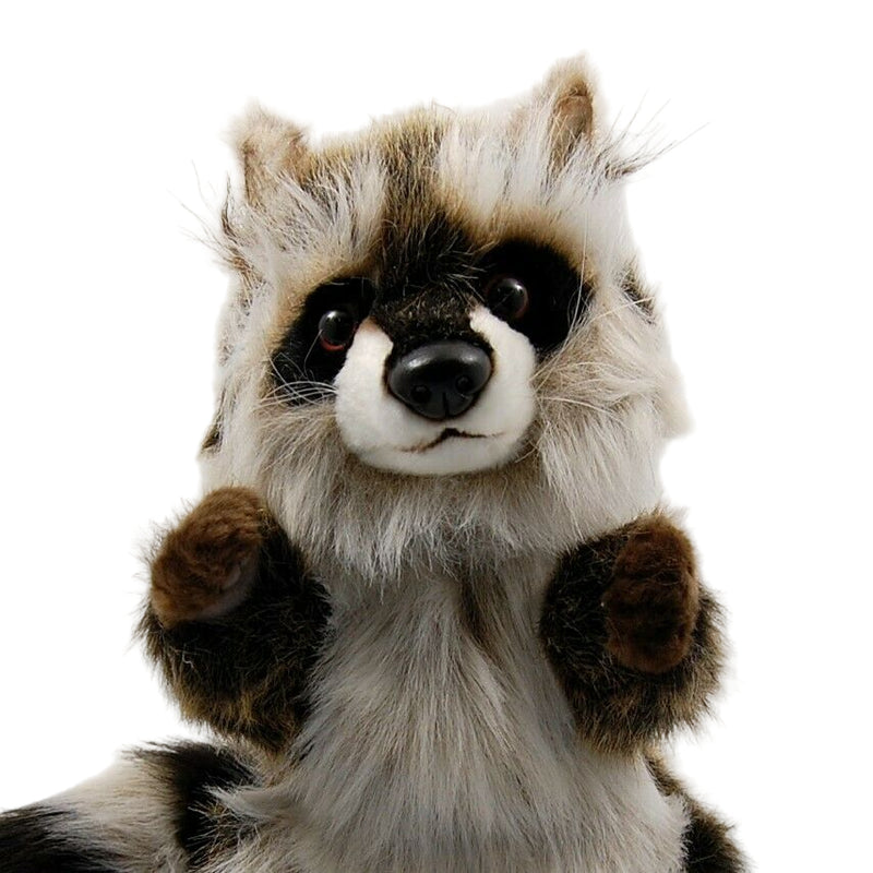 Load image into Gallery viewer, Raccoon Puppet Full Body Doll Hansa Real Looking Plush Animal Learning Toy