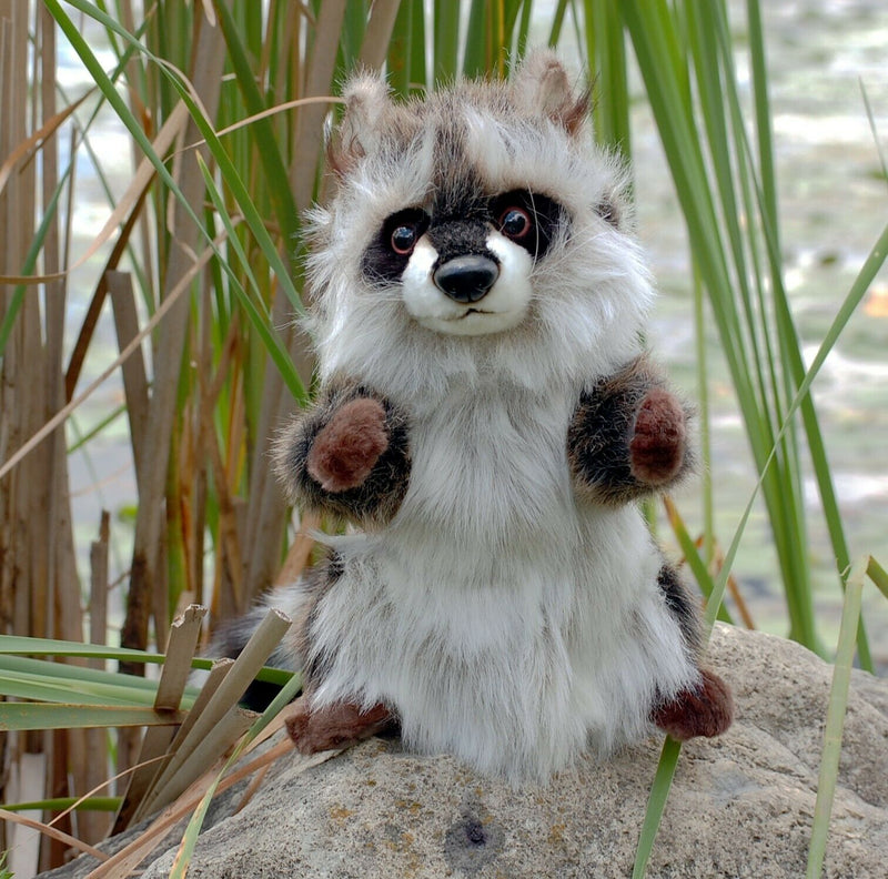 Load image into Gallery viewer, Raccoon Puppet Full Body Doll Hansa Real Looking Plush Animal Learning Toy