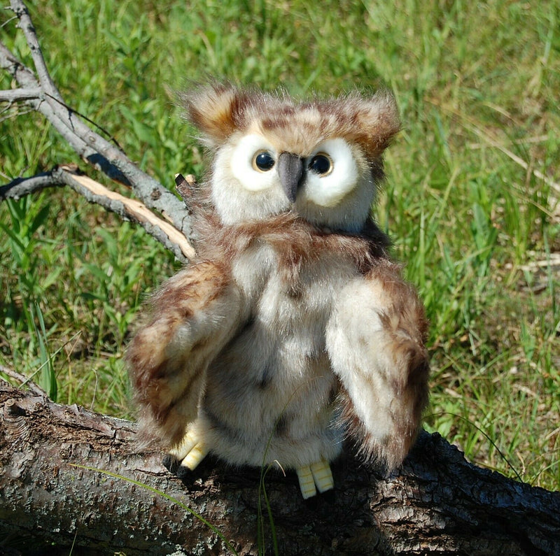 Load image into Gallery viewer, Owl Full Body Hand Puppet doll by Hansa Real Looking Plush Animal Learning Toy