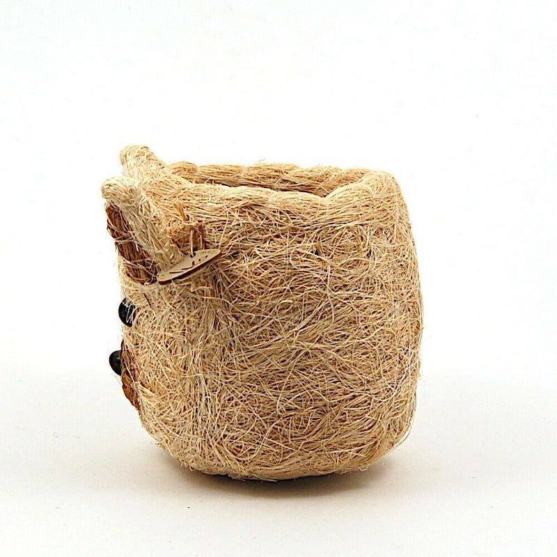 Load image into Gallery viewer, Cat Face Flower Pot Beige Coco Coir Animal Head Succulent Plant Holder