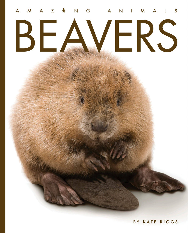 Load image into Gallery viewer, Amazing Animals - New Edition: Beavers: Paperback
